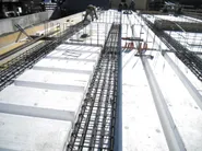 Bioisotherm | Isolamento