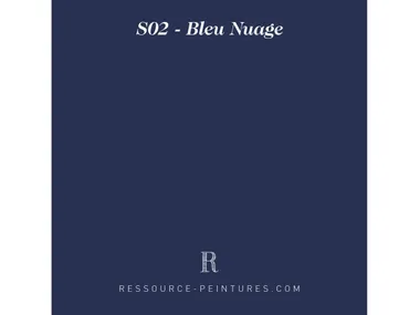 Pittura decorativa RESSOURCE - MAT POUDRE' LES BLEUS S02 In Stock