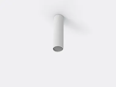 Lampada da soffitto in metallo ROSE Robin